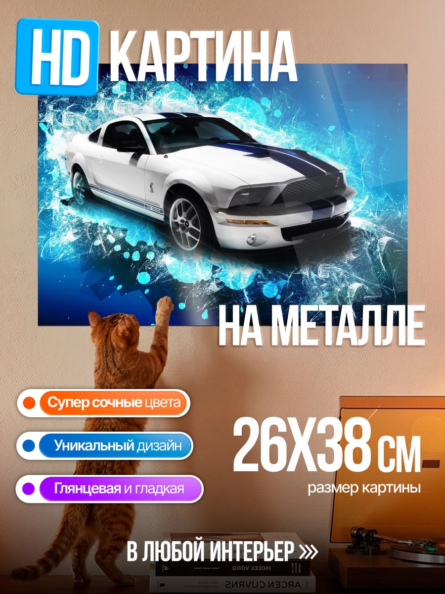 Картина на металле Белый маслкар