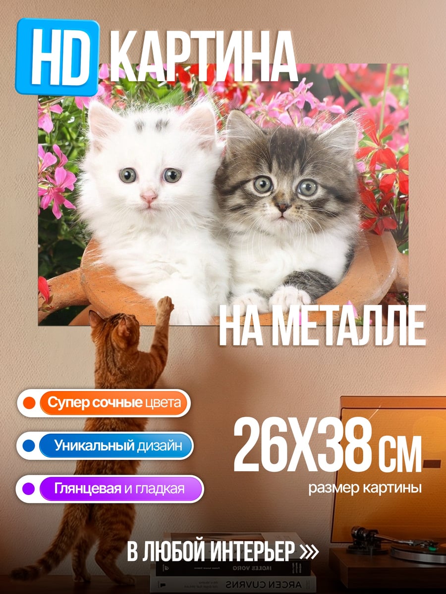 Картина на металле Два котенка в горшке