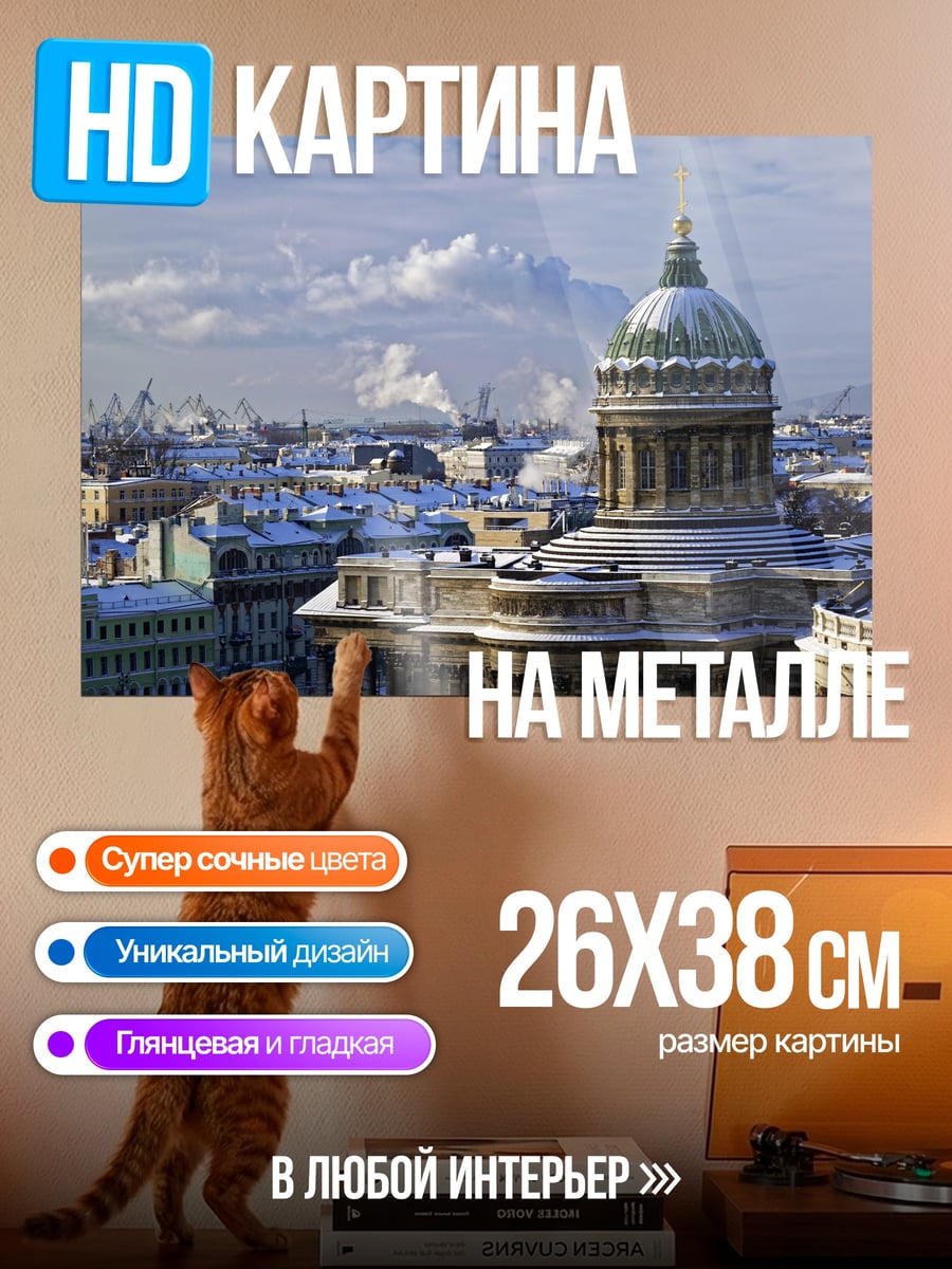 Картина на металле Зимний Петербург купол