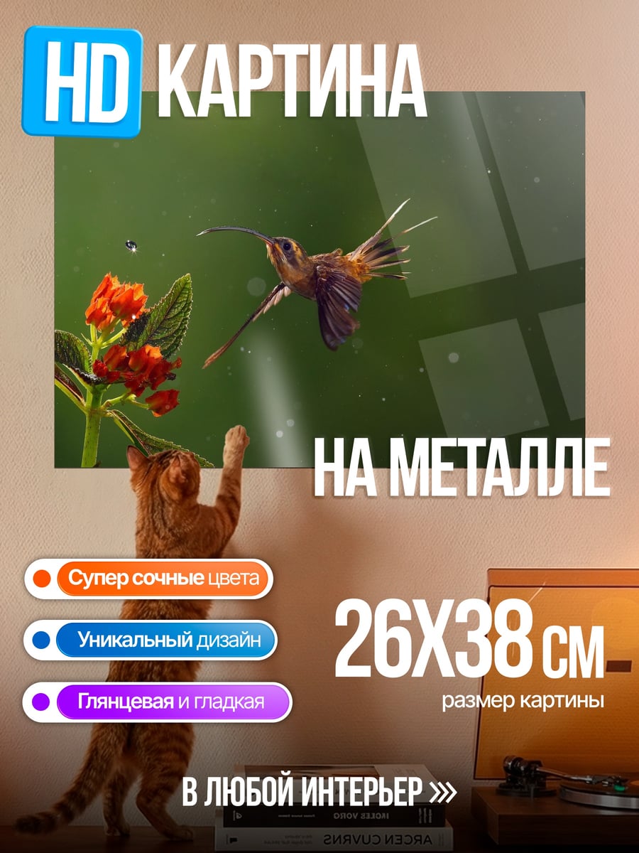 Картина на металле Колибри у красного цветка