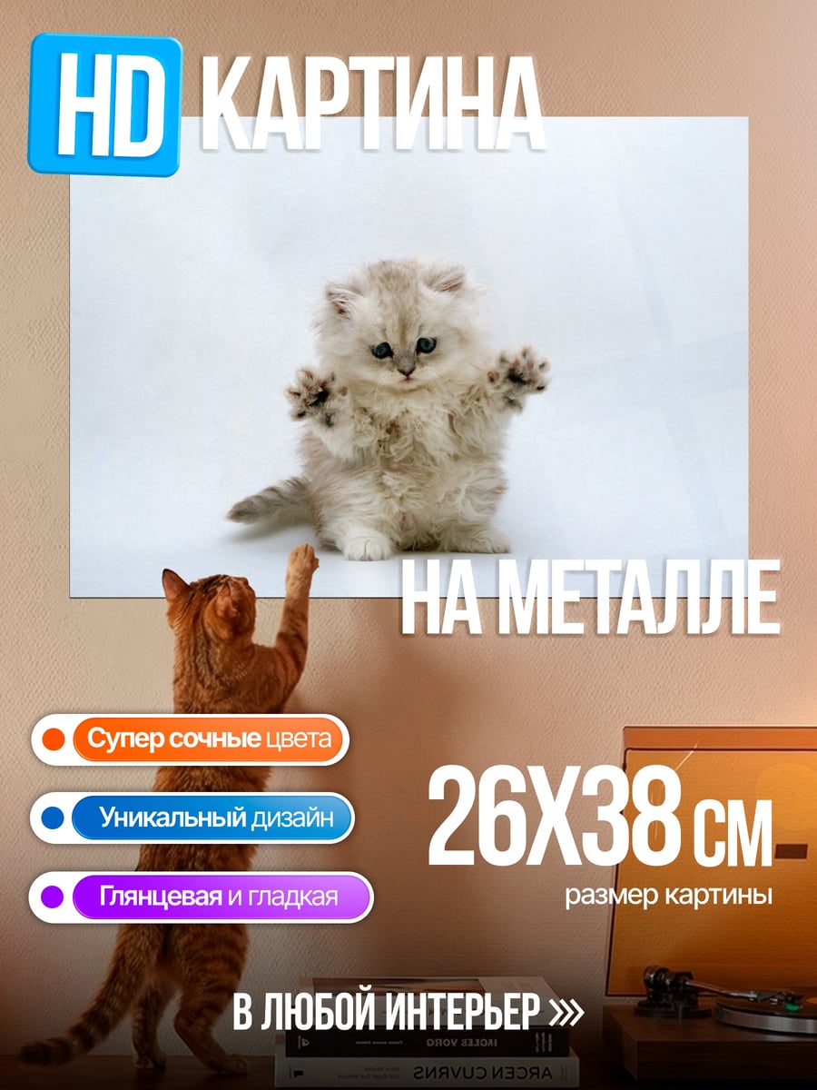 Картина на металле пушистый котенок