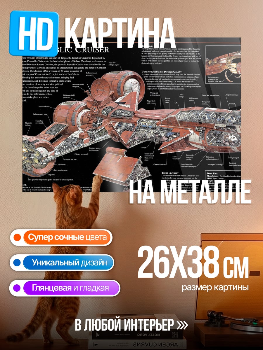 Картина на металле схема Republic Cruiser