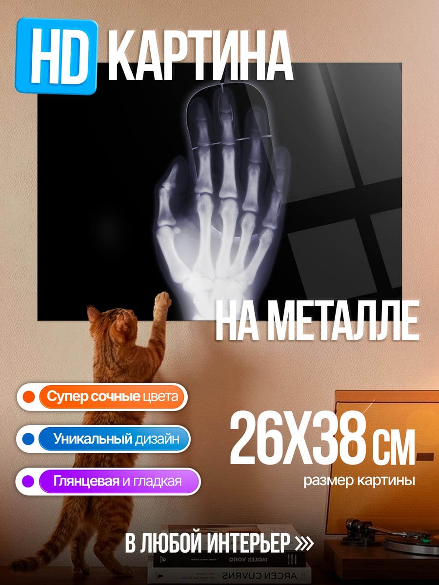 Картина на металле Рентген мыши