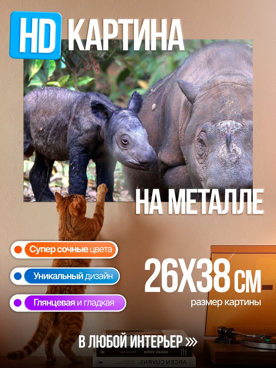 Картина на металле Носорог с детенышем