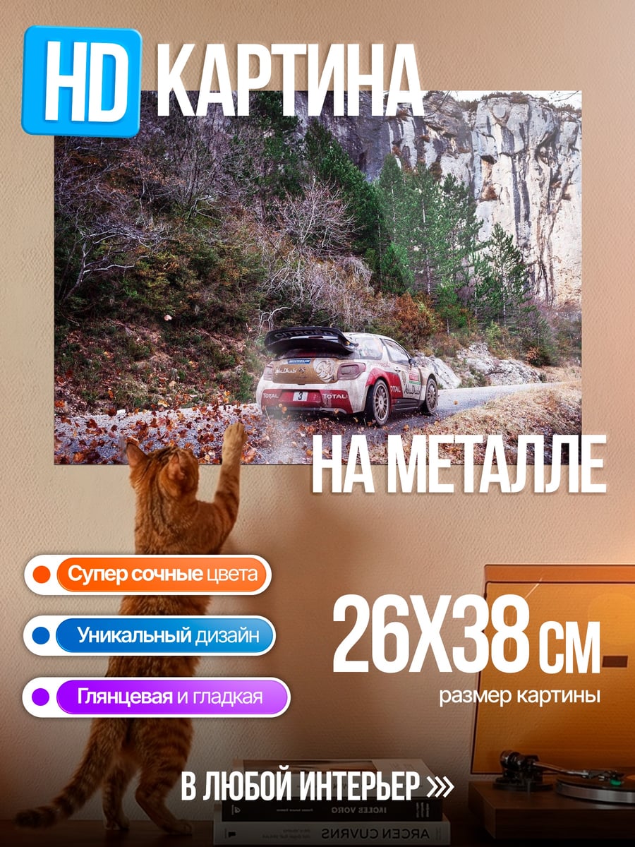 Картина на металле Раллийный автомобиль в лесу