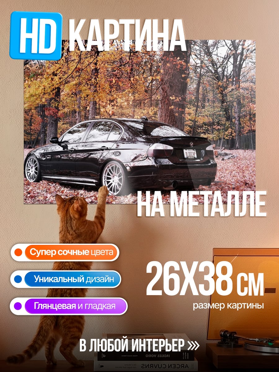 Картина на металле Осенний автомобиль в лесу