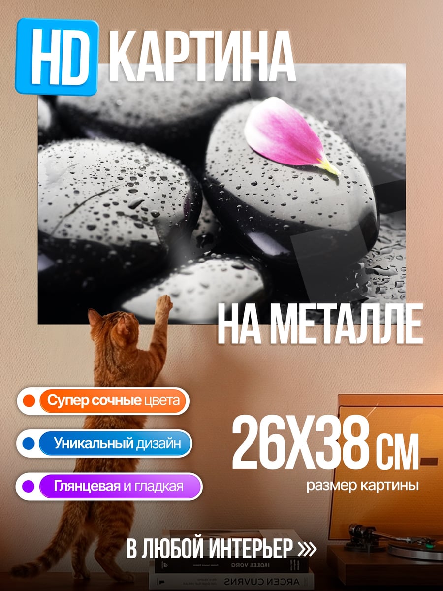Картина на металле Камни и лепесток