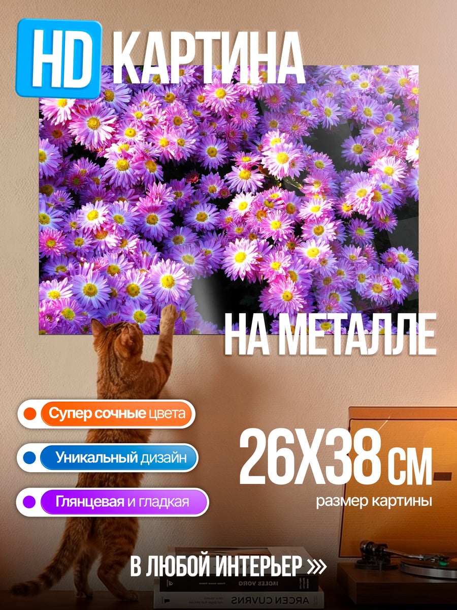 Картина на металле Фиолетовые цветы крупным планом