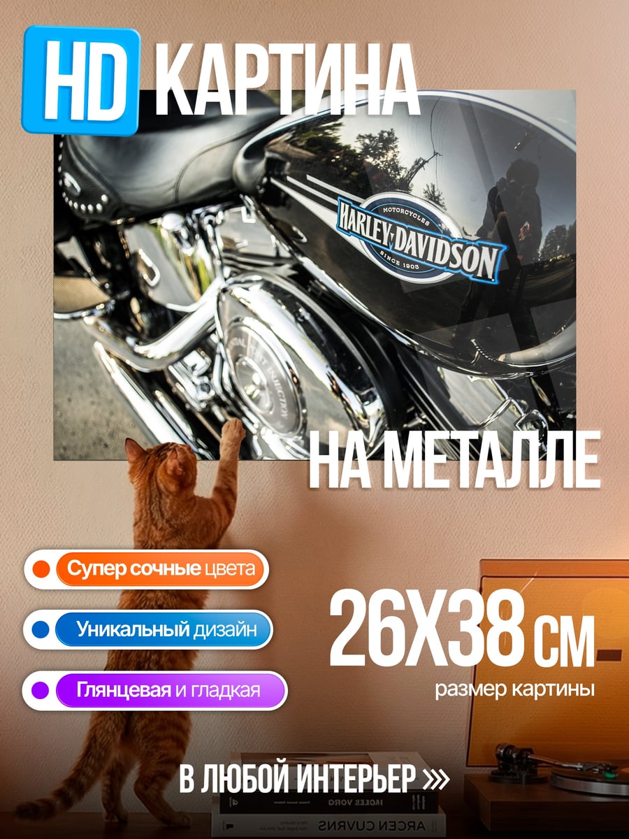 Картина на металле Харлей Дэвидсон Хром