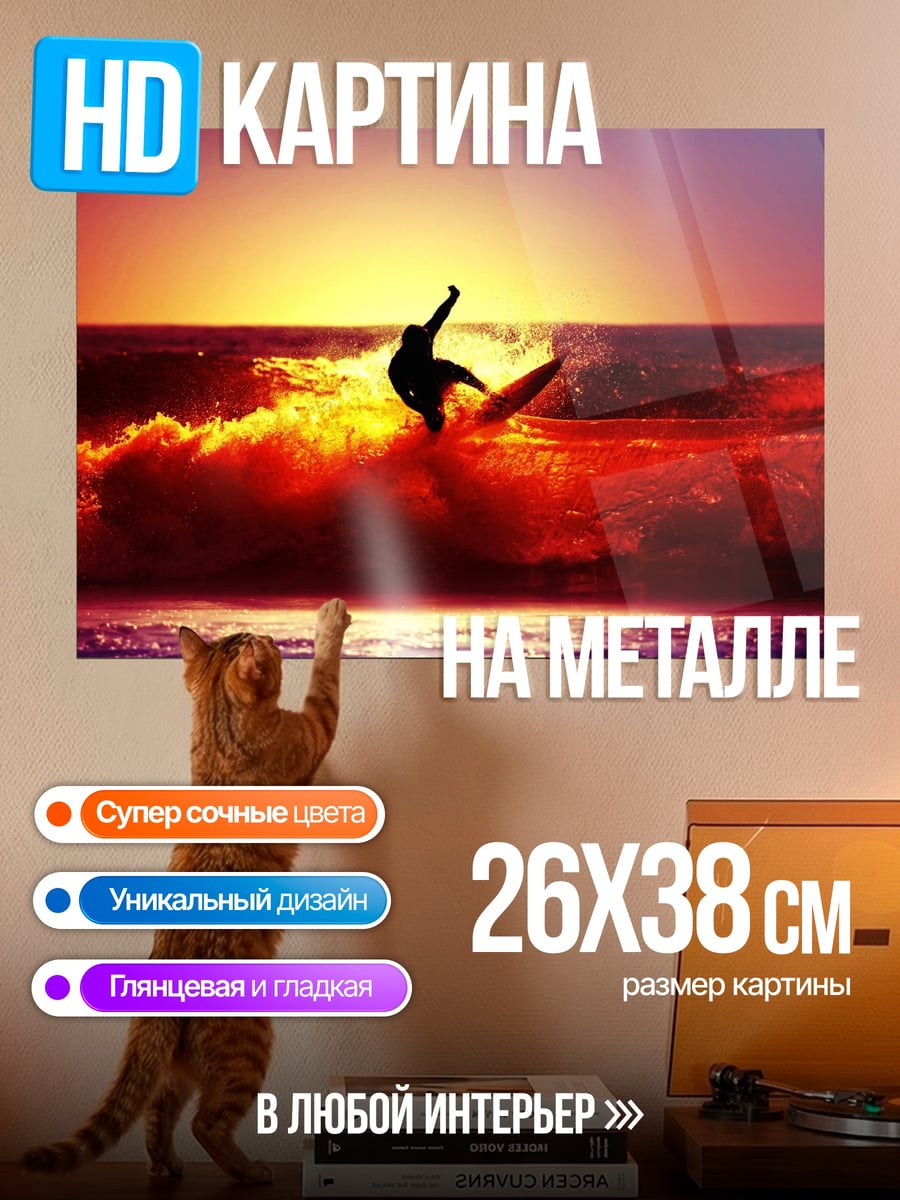 Картина на металле Серфер На Закате