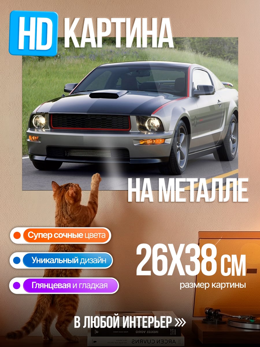 Картина на металле серый маслкар на дороге