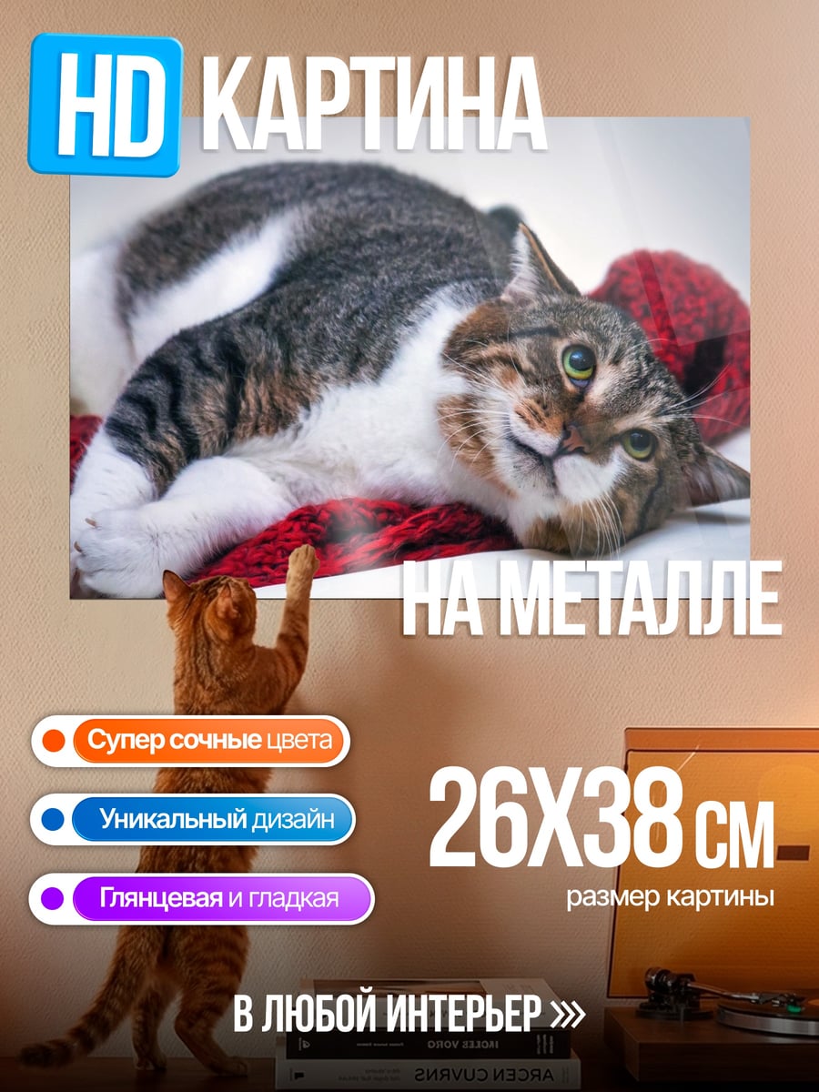 Картина на металле Ленивый кот