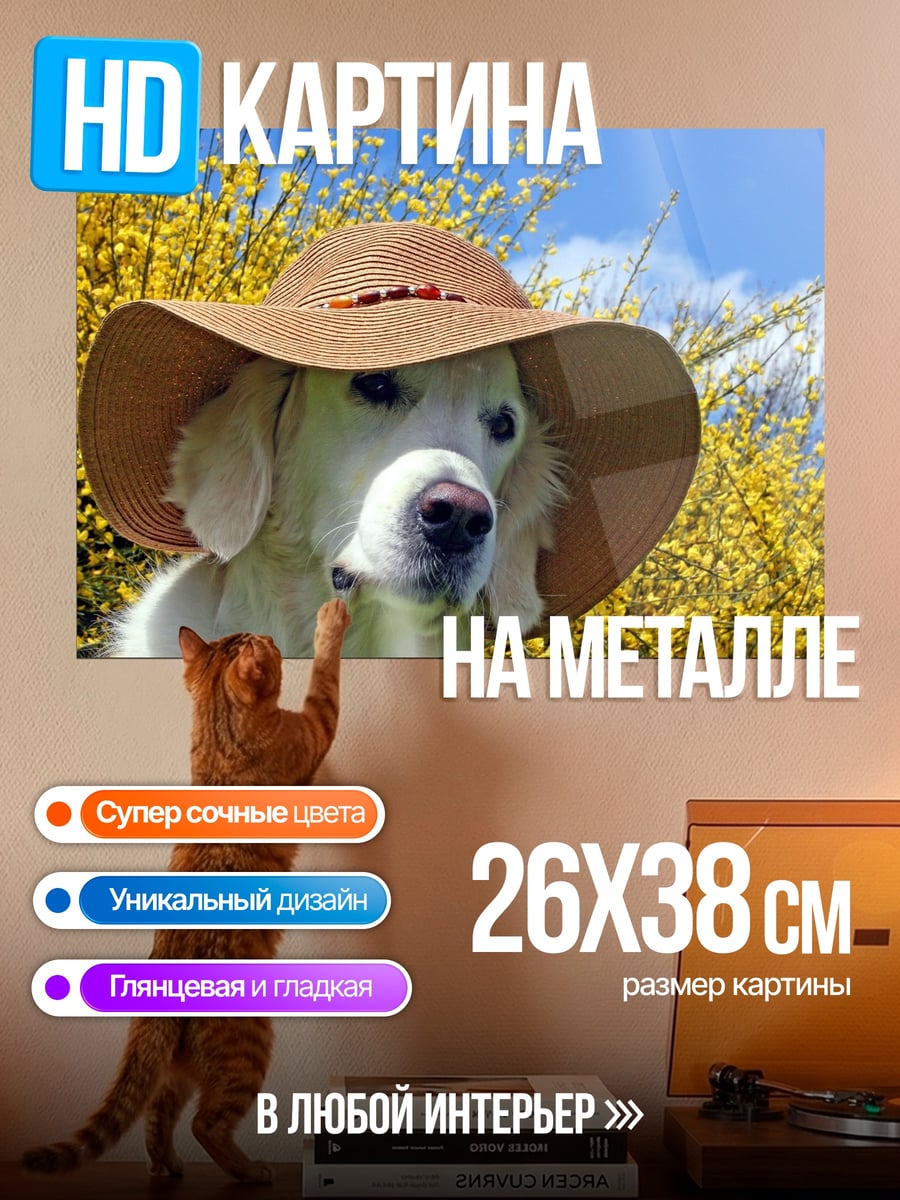 Картина на металле Собака в шляпе