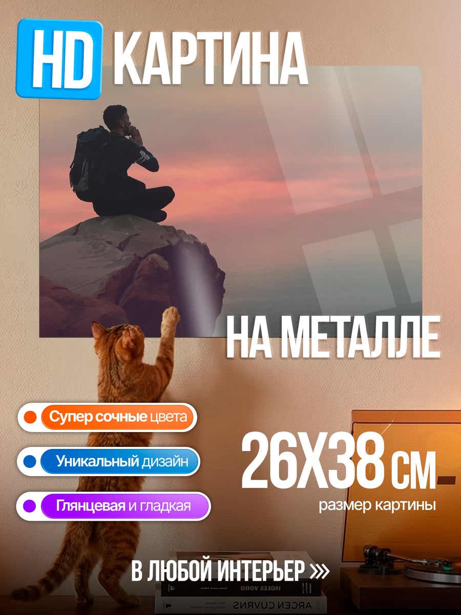 Картина на металле Человек на скале
