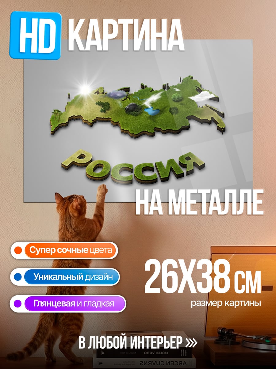 Картина на металле карта россии