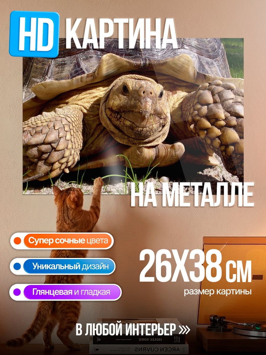 Картина на металле Черепаха на траве