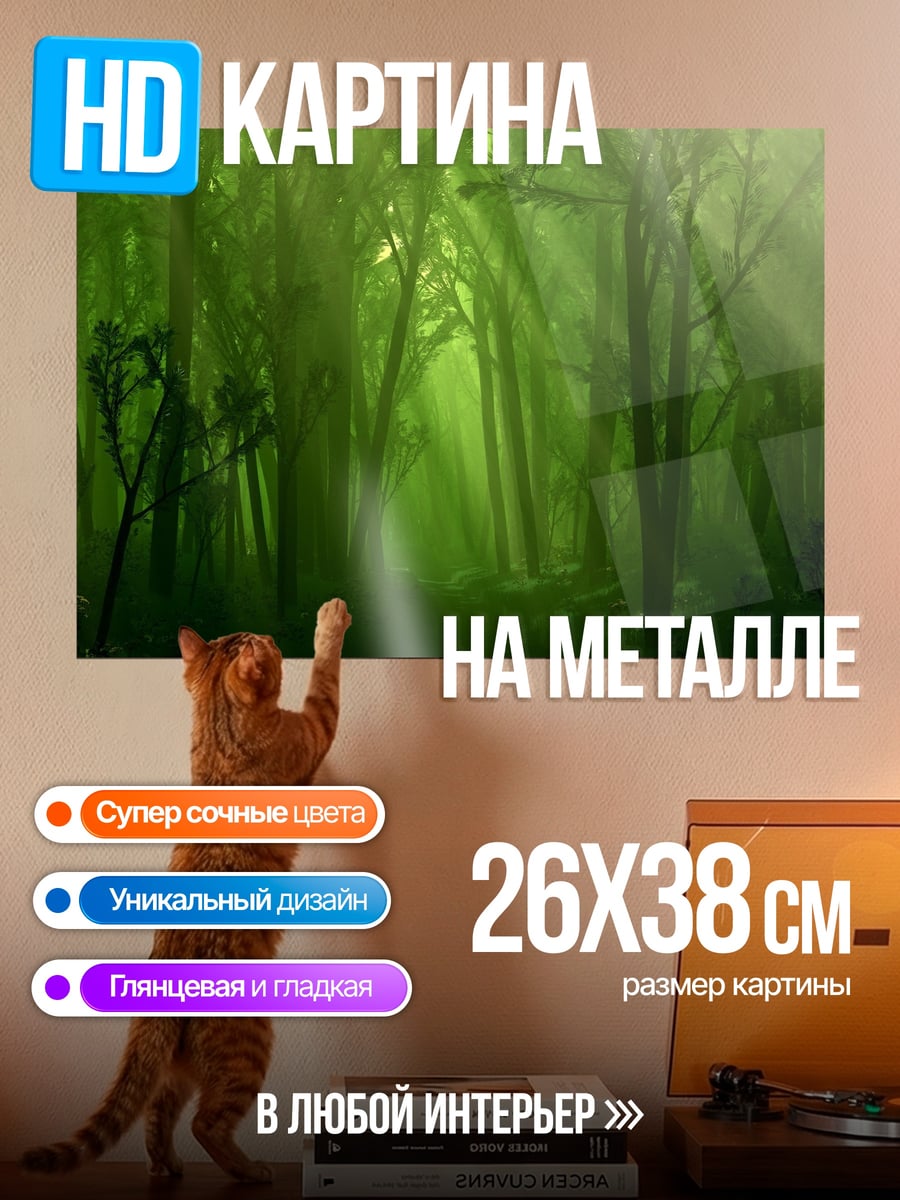Картина на металле Зеленый туманный лес