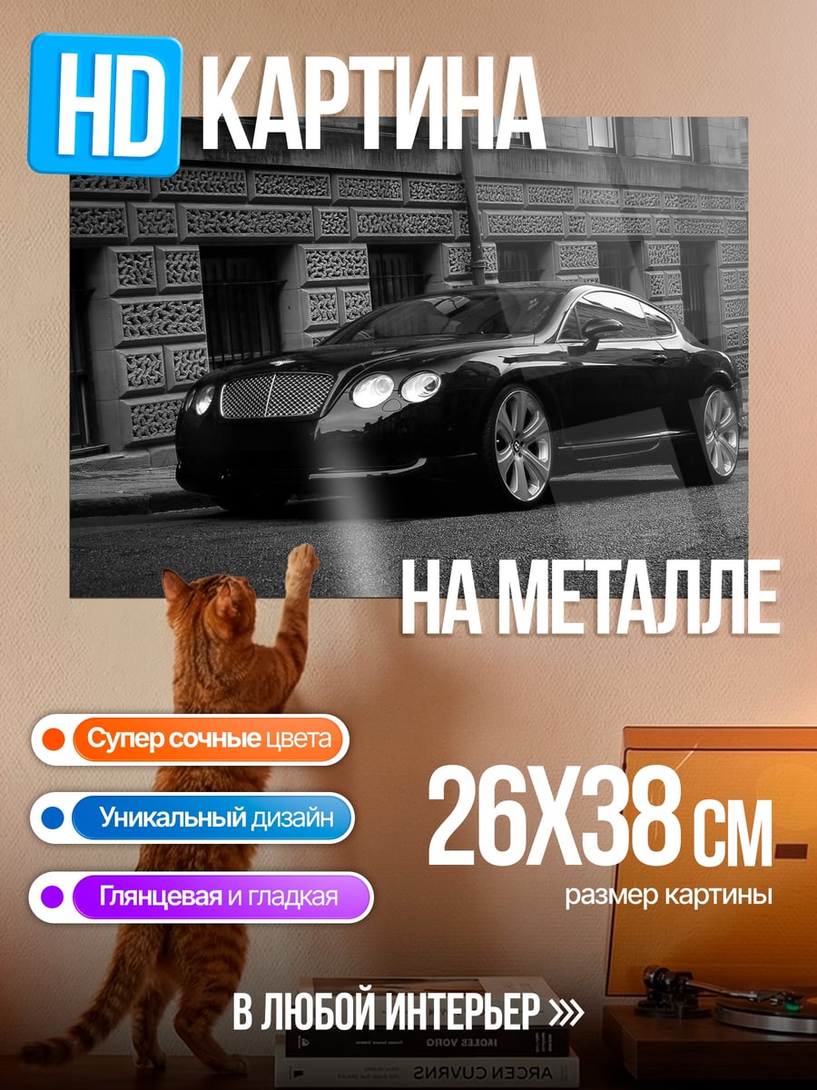 Картина на металле Черный спорткар