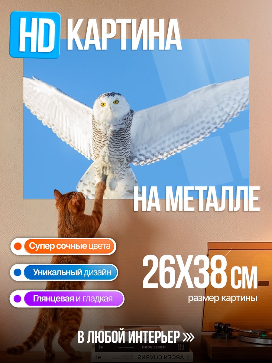 Картина на металле полярная сова в полете