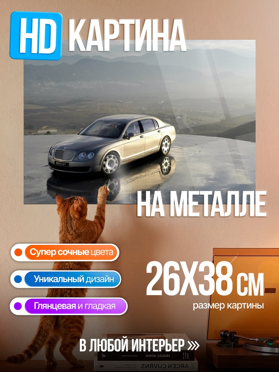 Картина на металле Автомобиль на вершине
