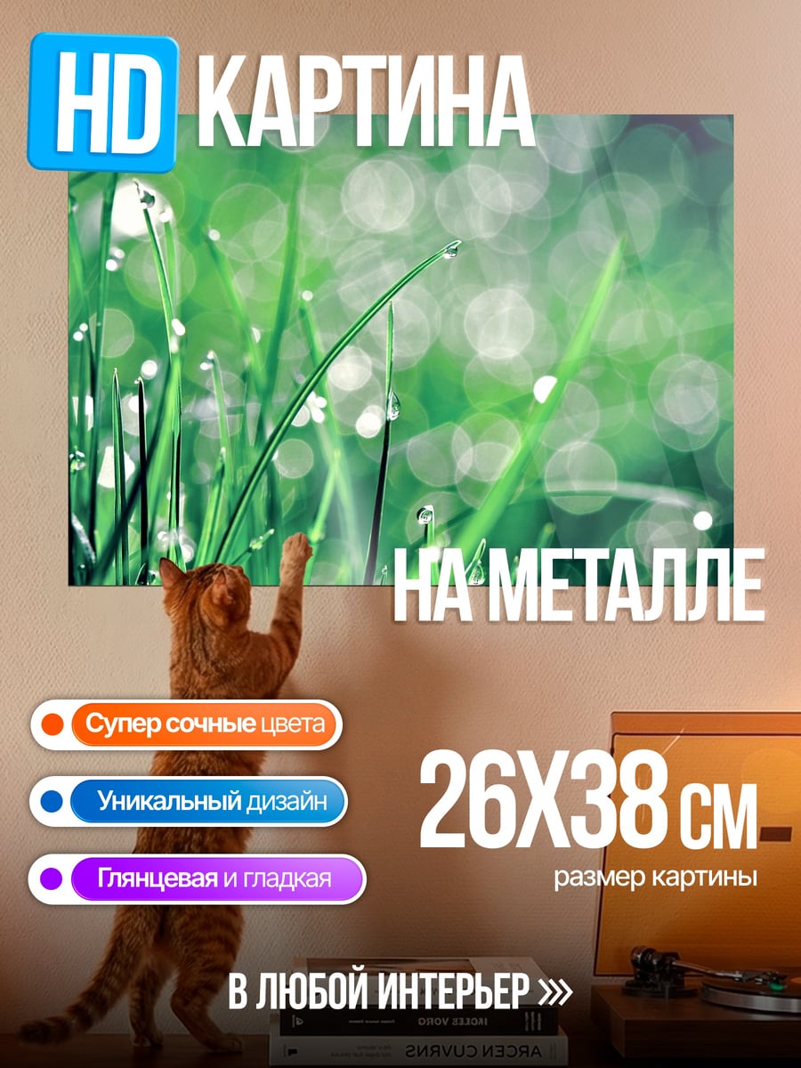 Картина на металле Роса на траве