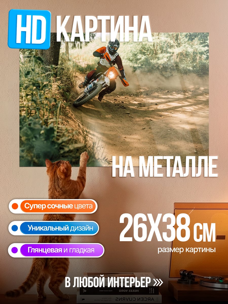 Картина на металле Мотоциклист на трассе