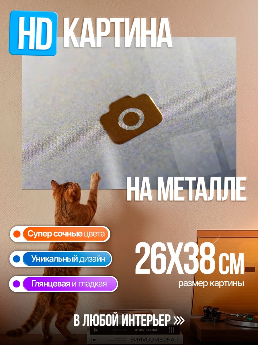 Картина на металле значок камеры