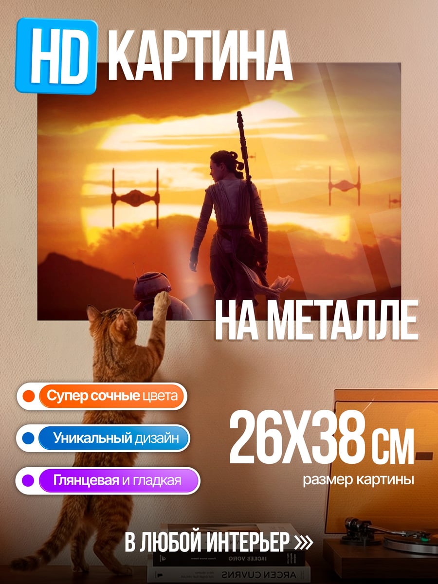 Картина на металле Рей и Финн