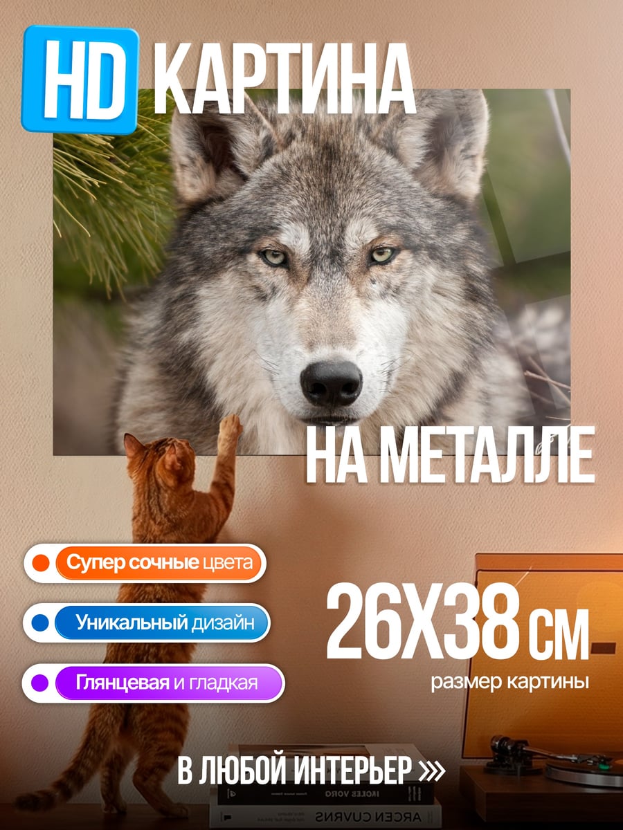 Картина на металле Портрет волка