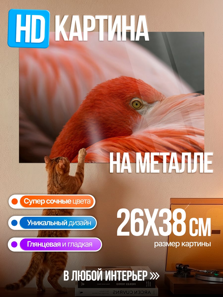 Картина на металле Фламинго в перьях