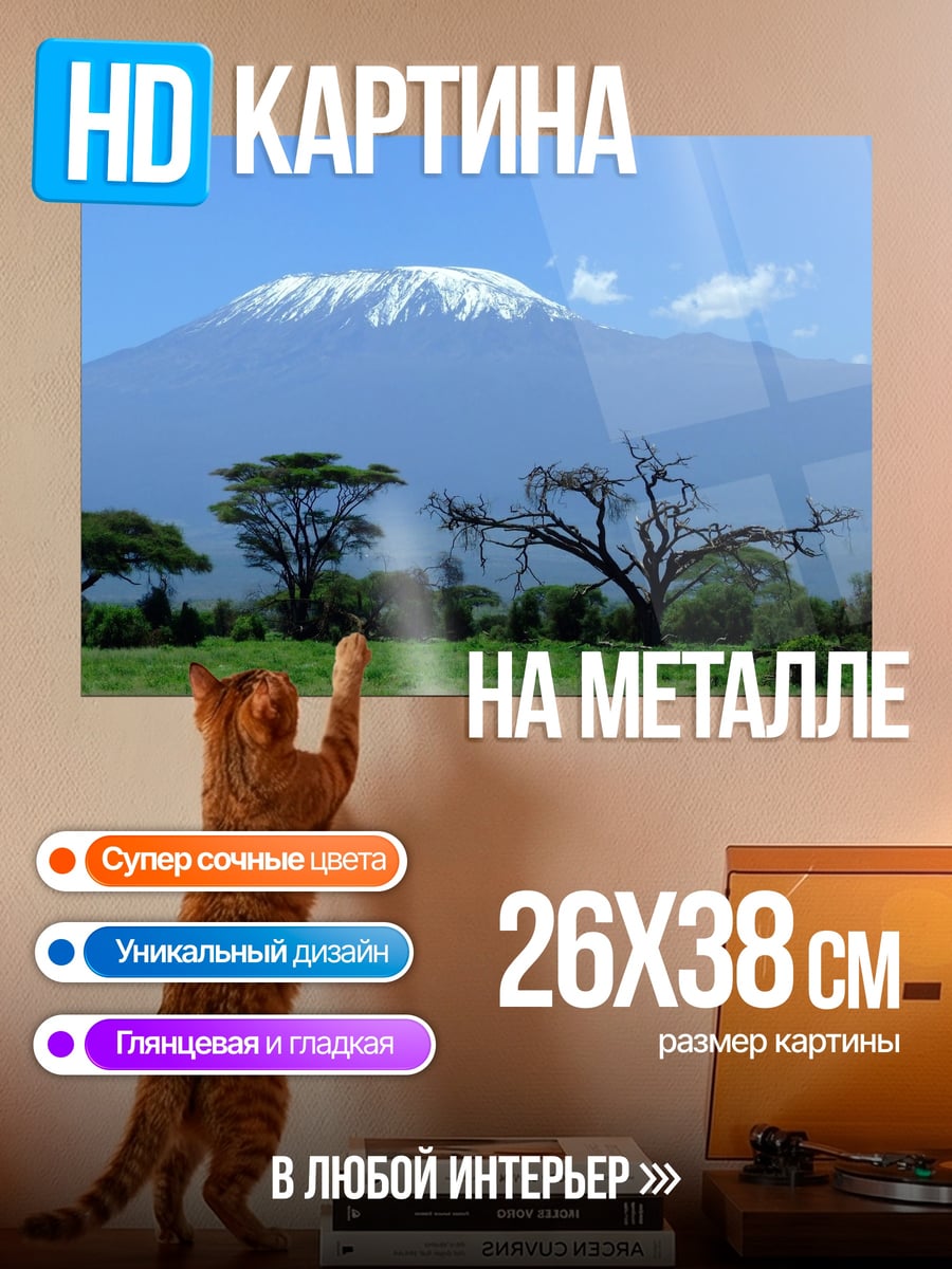 Картина на металле Гора Килиманджаро