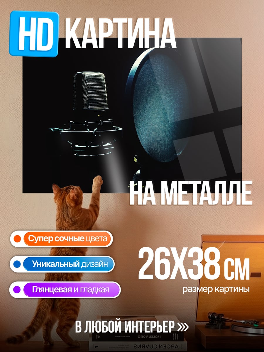 Картина на металле Студийный микрофон