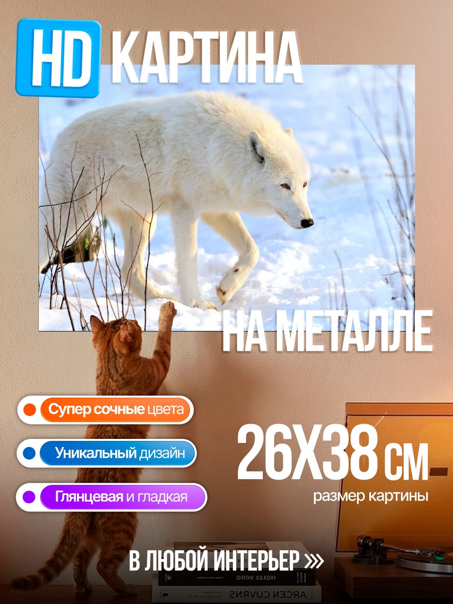 Картина на металле Белый волк снег