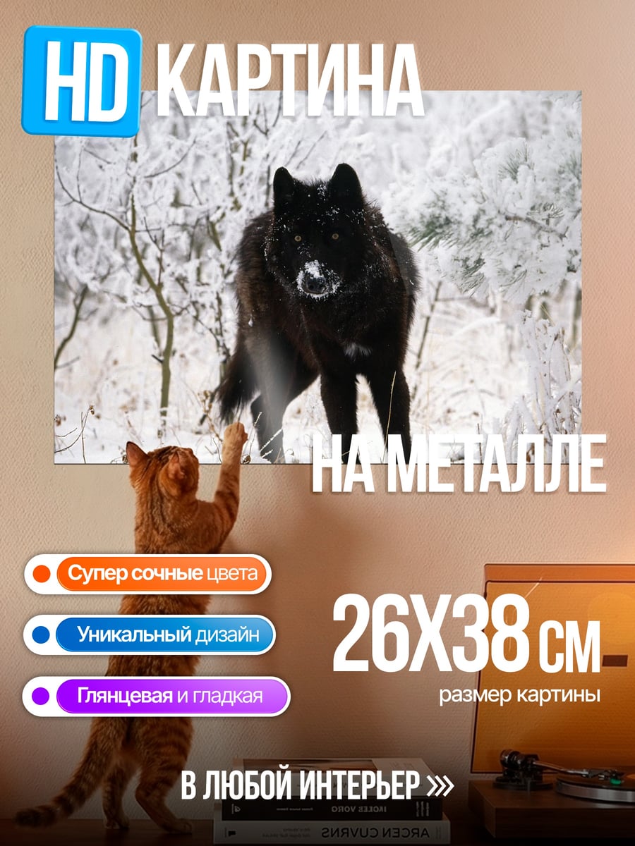 Картина на металле Черный волк в снегу
