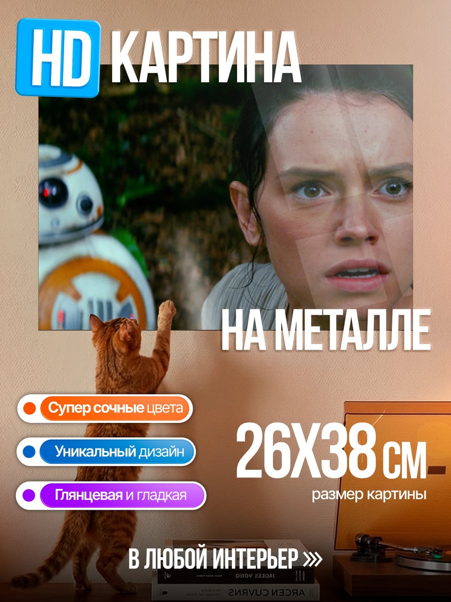 Картина на металле Рей и BB-8
