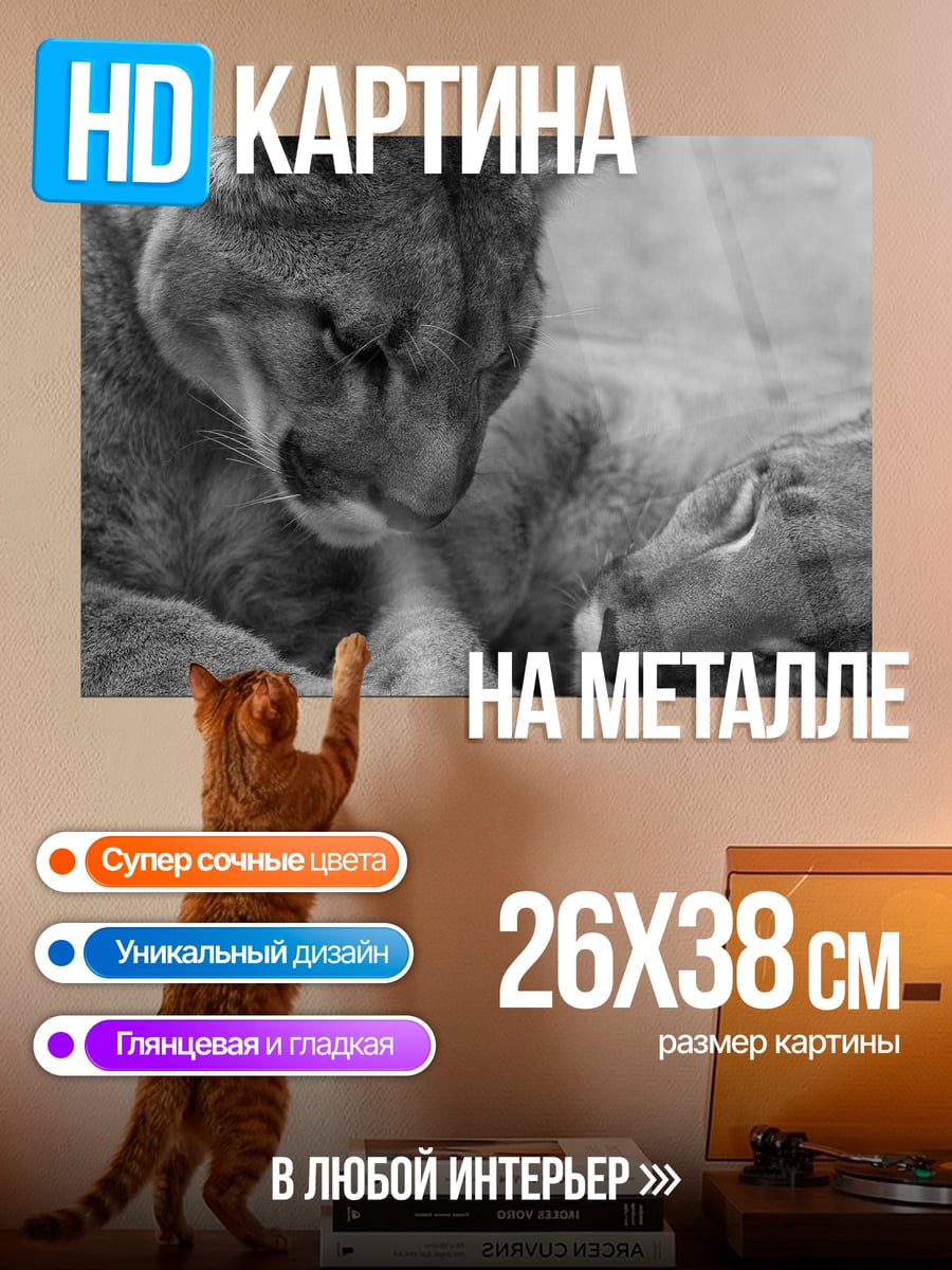 Картина на металле Девушка в пальто с рюкзаком