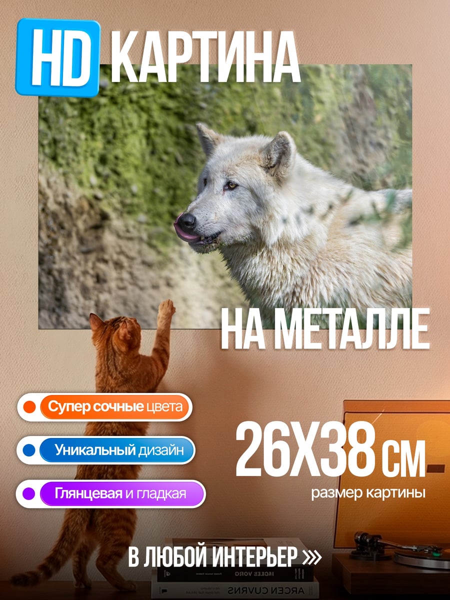 Картина на металле Белый волк