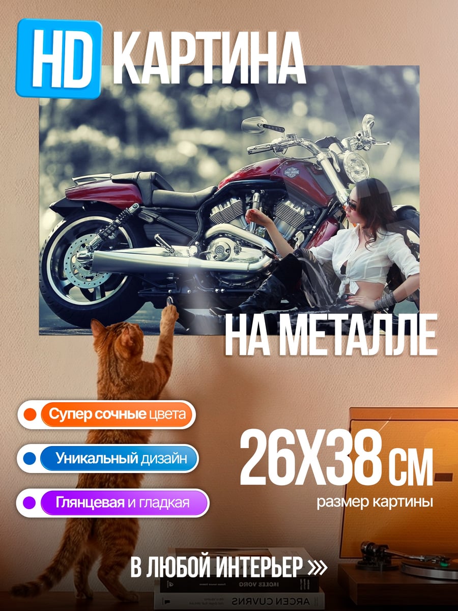 Картина на металле Девушка и мотоцикл