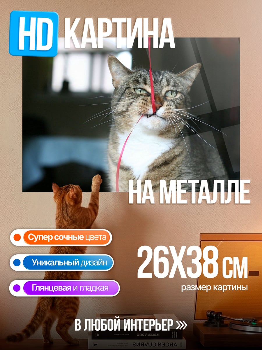 Картина на металле Кот с ниткой