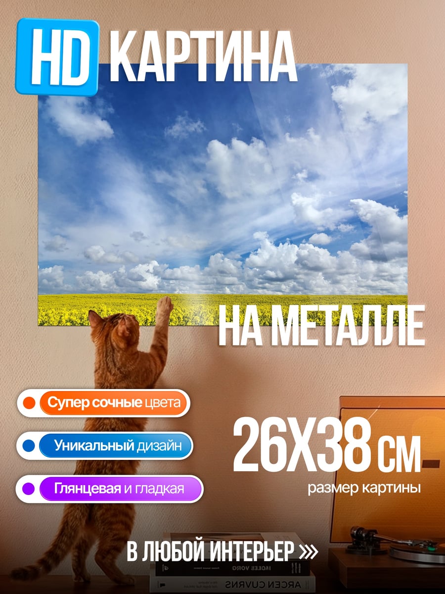 Картина на металле Поле рапса
