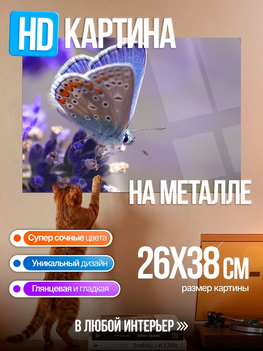 Картина на металле Бабочка на лаванде