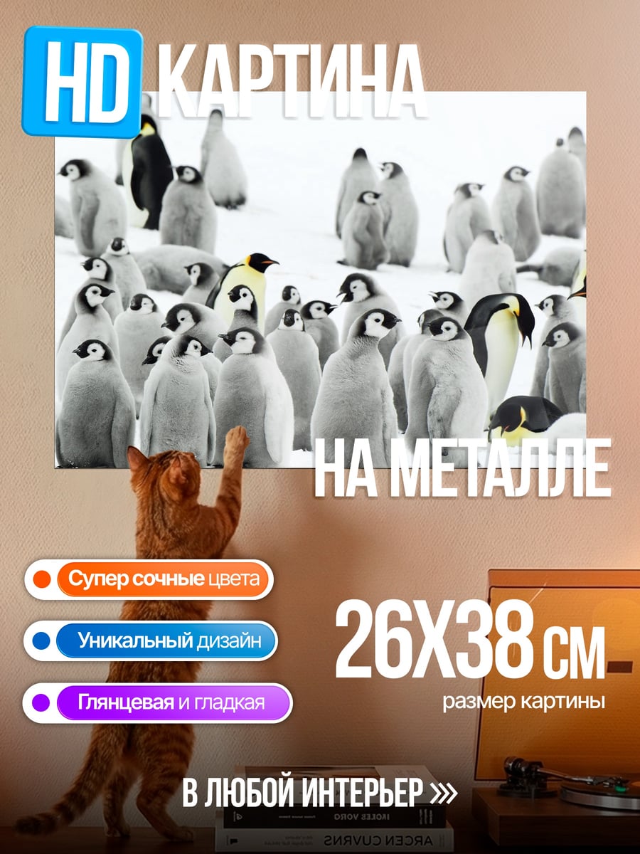 Картина на металле Пингвины на снегу