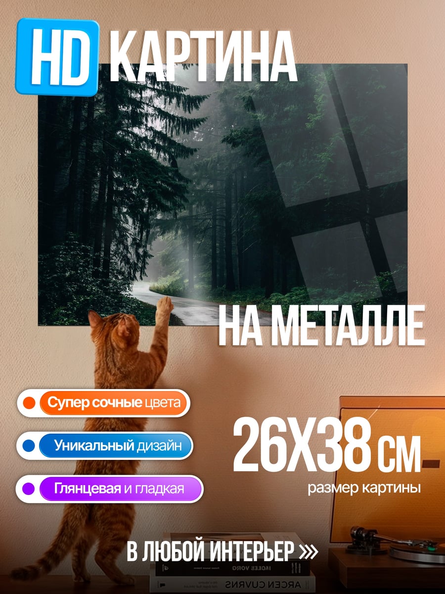 Картина на металле Туманная лесная дорога