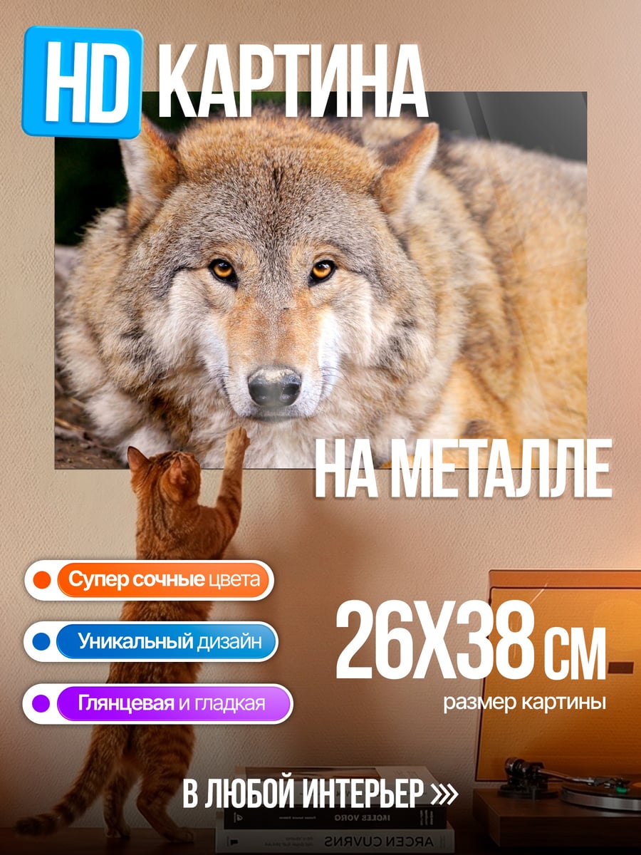 Картина на металле портрет волка