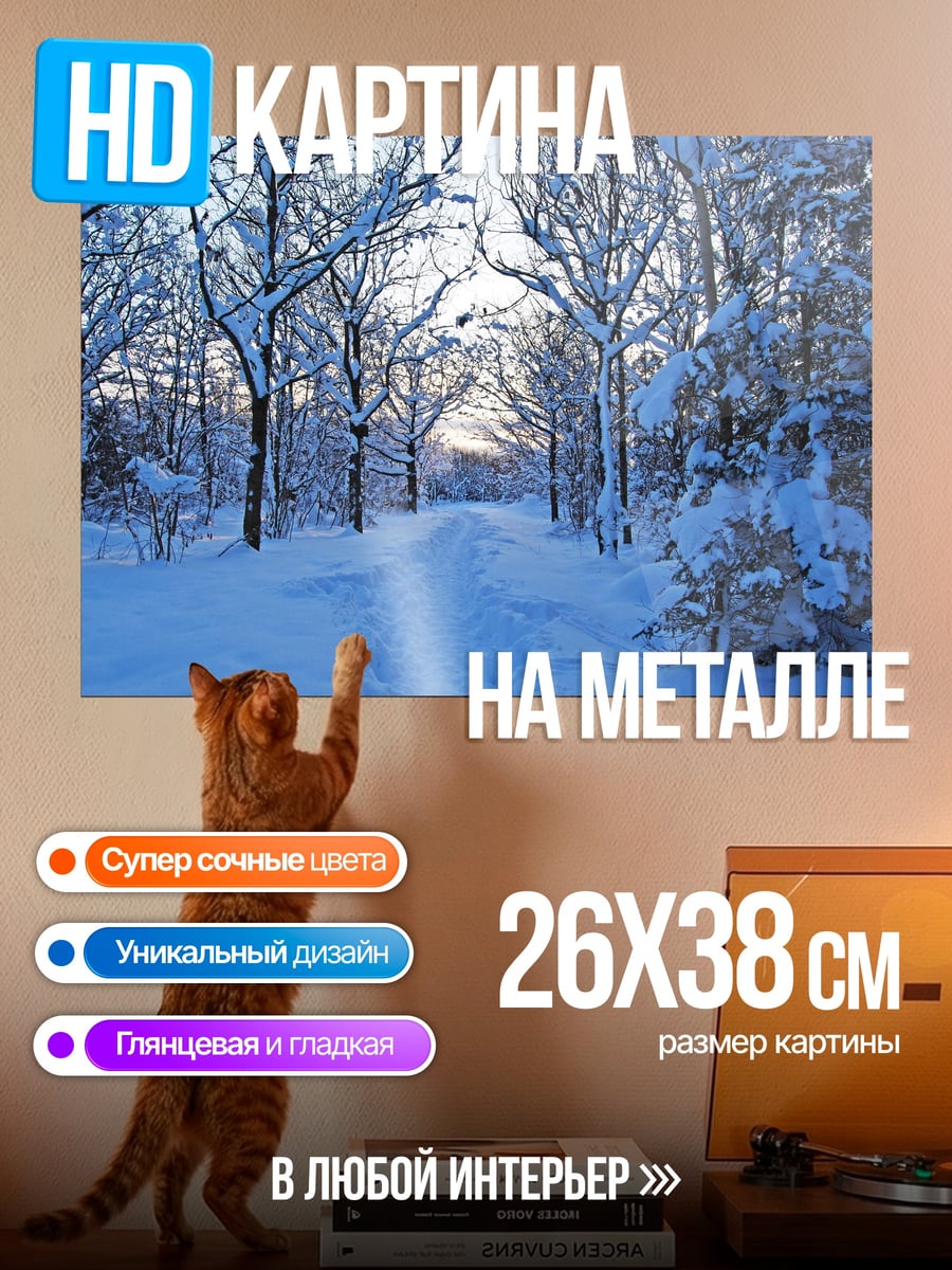 Картина на металле Зимний лес тропа