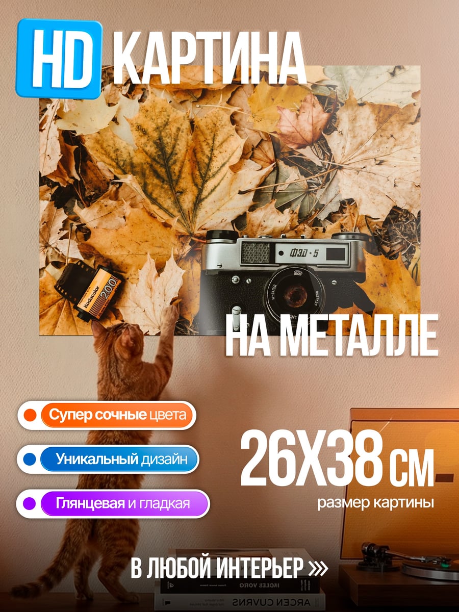 Картина на металле Осенние листья и камера