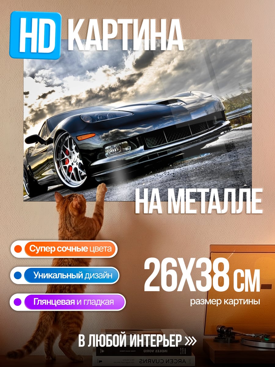 Картина на металле Черный спорткар на дороге