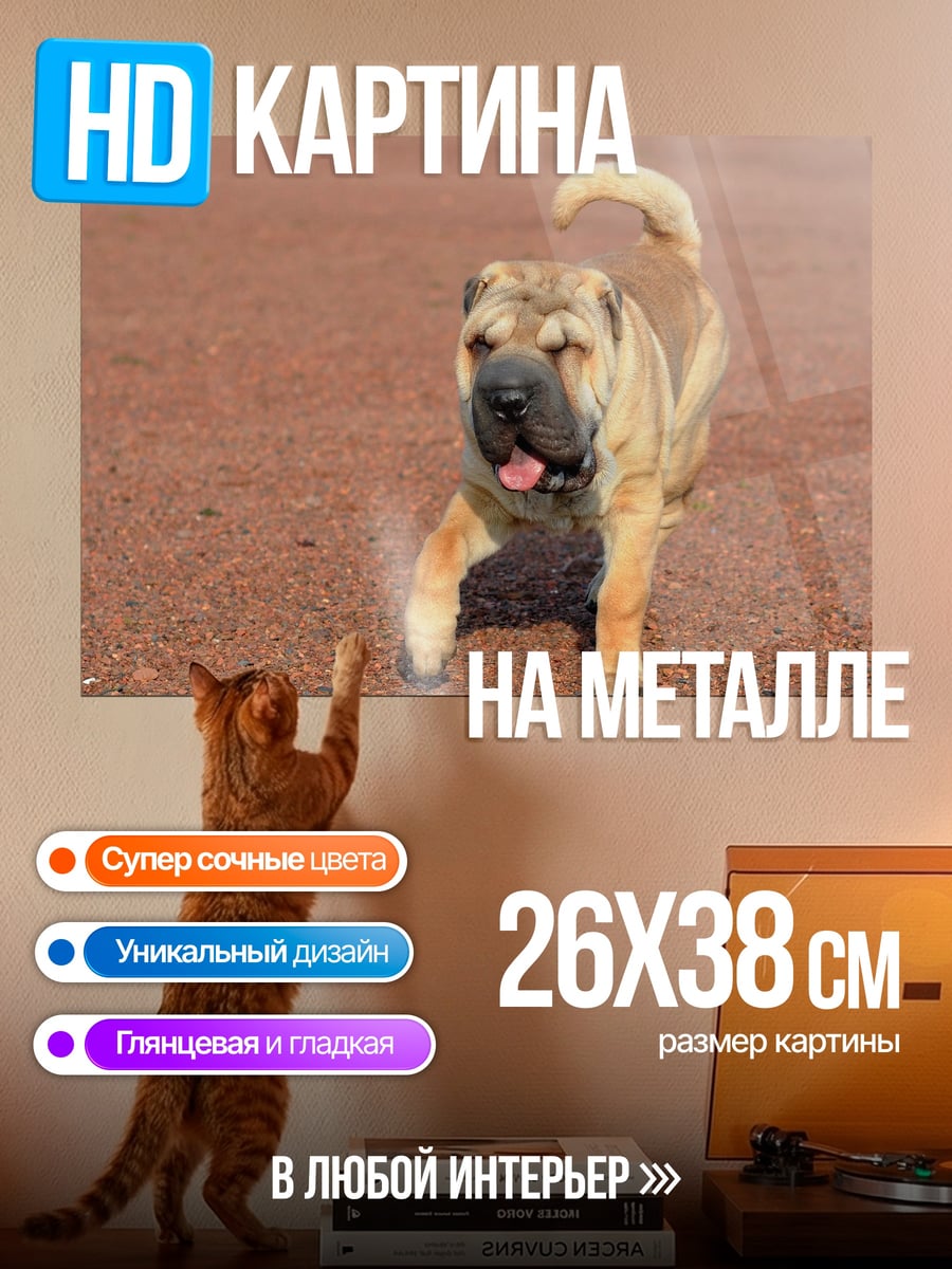 Картина на металле Пес Чау Лежит