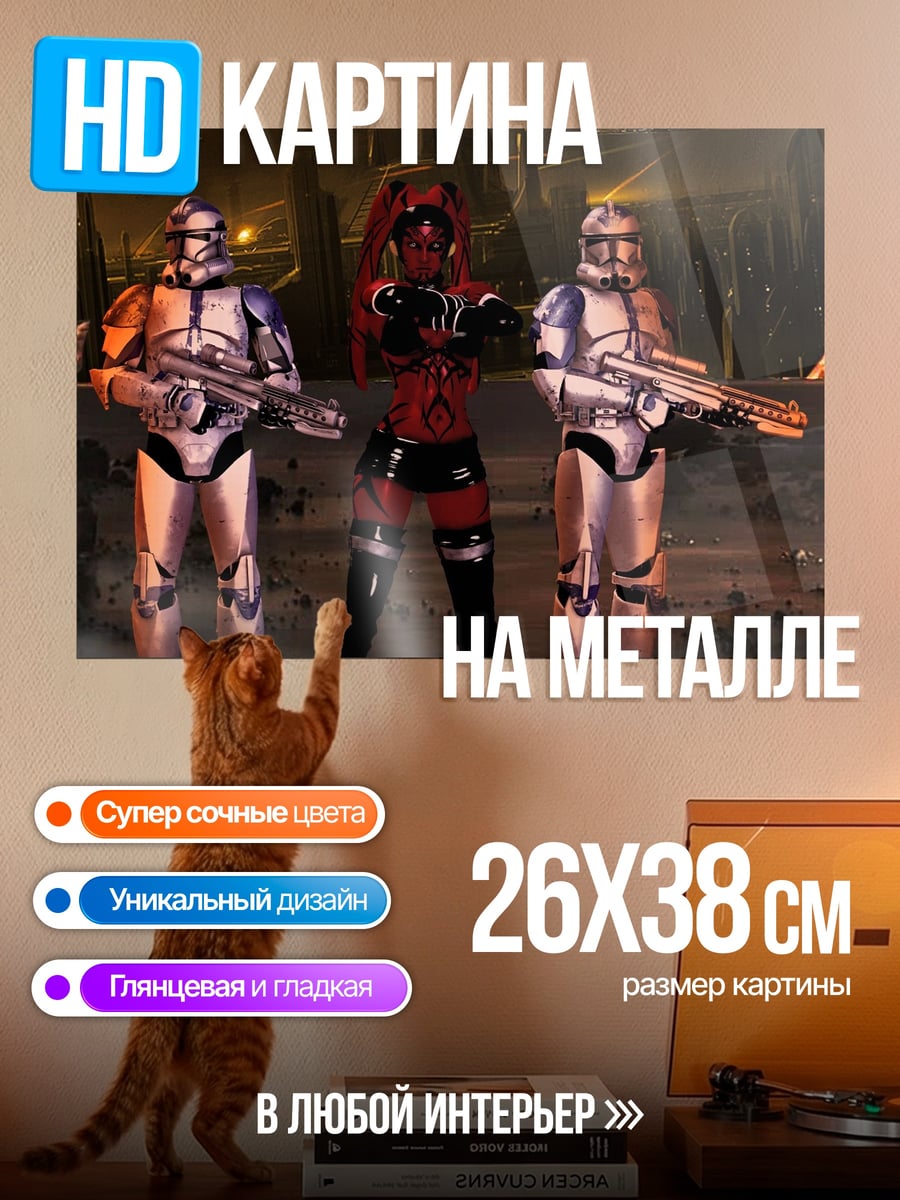Картина на металле Штурмовики И Дарт Мол