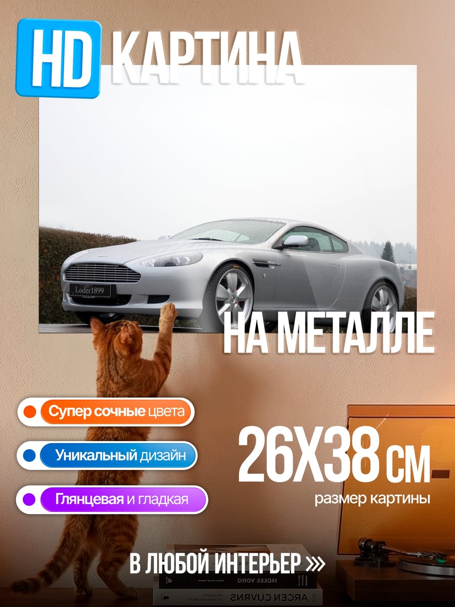 Картина на металле серебристый спорткар